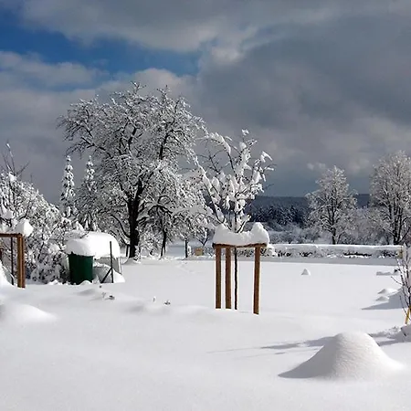 Hotel-gasthof Sternen Hotel 3*